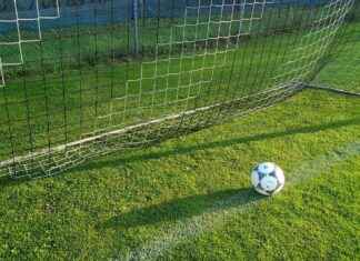 New England Patriots vs Buffalo Bills Match Player Stats New England Patriots vs Buffalo Bills Match Player Stats