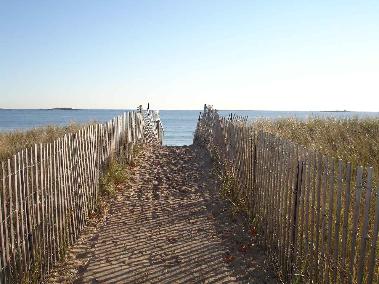 Running Back Contributions