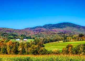 New England Patriots vs. Pittsburgh Steelers: Key Performers and Stats New England Patriots vs. Pittsburgh Steelers: Key Performers and Stats