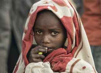 New Movie for Kids: The Latest Films You Need to Know About New Movie for Kids: The Latest Films You Need to Know About