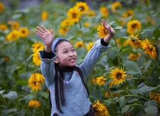 New Movies for Kids in 2024: The Ultimate List New Movies for Kids in 2024: The Ultimate List