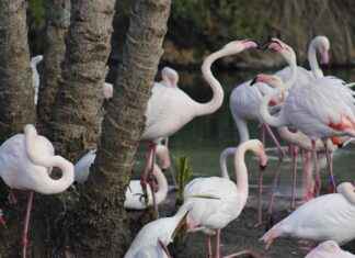 New Movies on Disney Plus for Kids: Fresh Films to Stream New Movies on Disney Plus for Kids: Fresh Films to Stream