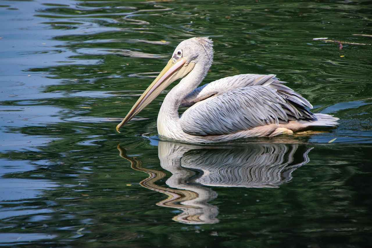 Injury Updates and Their Effects