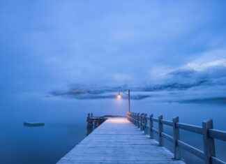 New Orleans Saints vs. Tampa Bay Buccaneers: Top Players and Stats New Orleans Saints vs. Tampa Bay Buccaneers: Top Players and Stats