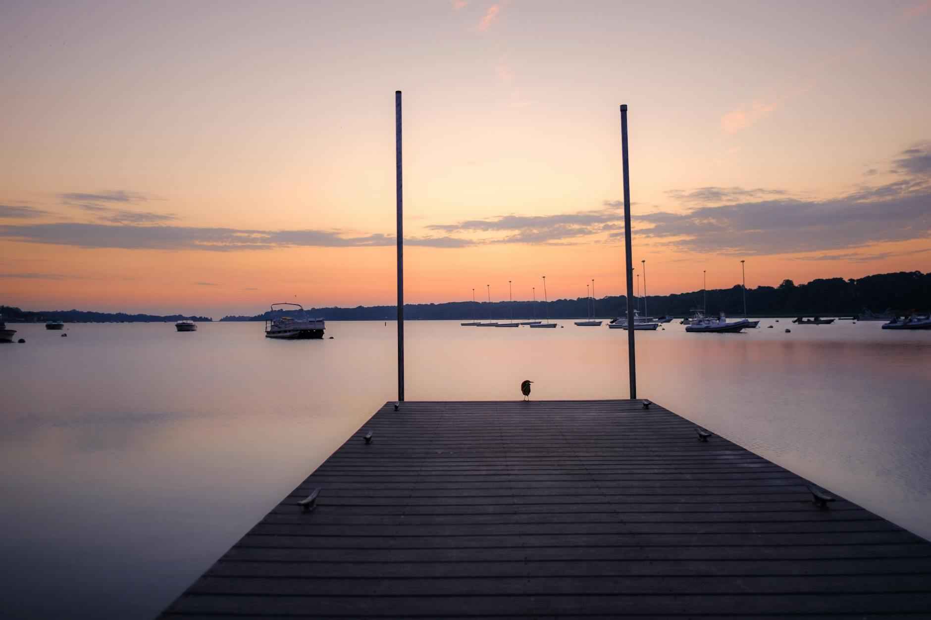 New Orleans Shooting Today: What We Know So Far 7 Political Implications