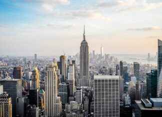 New York Giants vs Carolina Panthers Match Player Stats New York Giants vs Carolina Panthers Match Player Stats