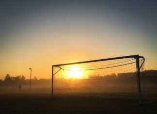 New York Jets vs 49ers Match Player Stats New York Jets vs 49ers Match Player Stats