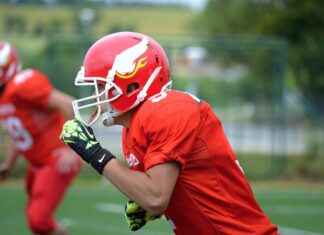 New York Jets vs Steelers Match Player Stats New York Jets vs Steelers Match Player Stats