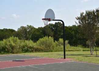 New York Liberty vs Indiana Fever Match Player Stats New York Liberty vs Indiana Fever Match Player Stats