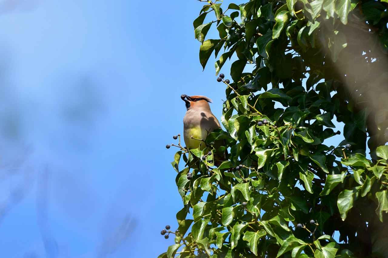 New York Rangers vs. Philadelphia Flyers: Player Stats and Game Recap 1 Overview of the Game