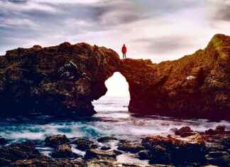 Newport Cigarettes in 2025: Why They’re Still Sparking Controversy Newport Cigarettes in 2025: Why They’re Still Sparking Controversy