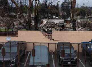 Newsom excludes Southern California from public utilities commission appointments newsom-excludes-southern-california-from-public-utilities-commission-appointments