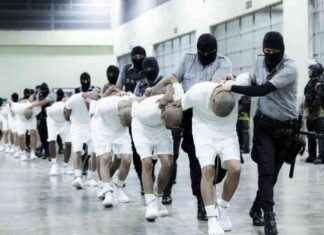 Newsom Urges Trump to Bring Deported Venezuelan Immigrant to U.S. newsom-urges-trump-to-bring-deported-venezuelan-mmigrant-to-us