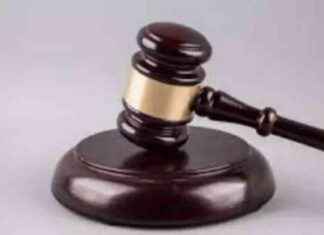 NGT seeks response on highway built over pond ngt-seeks-response-on-highway-built-over-pond