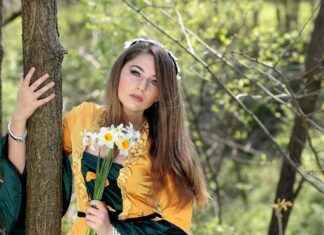 Nifty Stories Platform: Is It the New Reddit for Kinks? Nifty Stories Platform: Is It the New Reddit for Kinks?