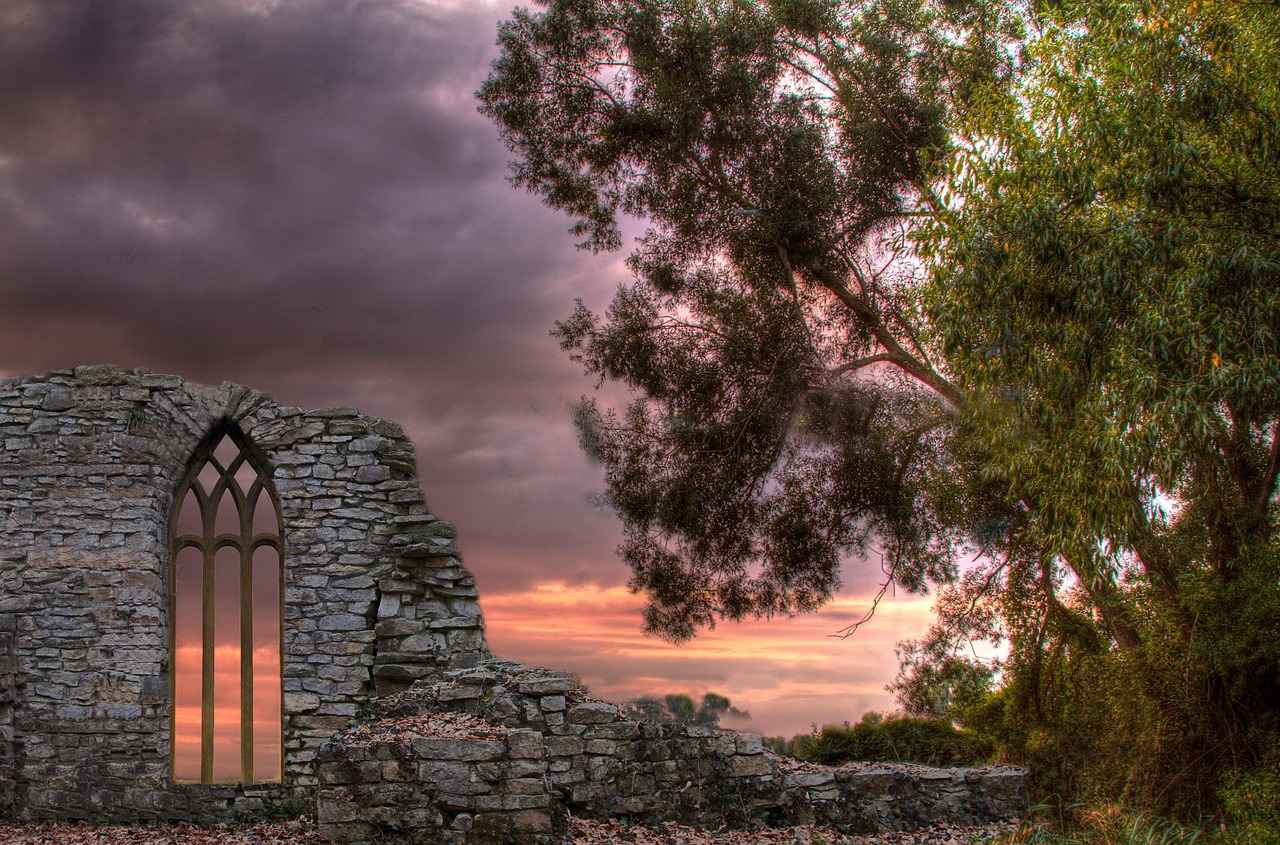 How to Get Started on Nifty Stories?