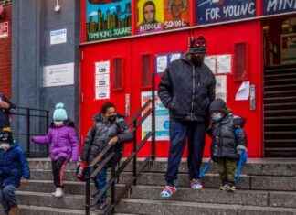 NY Public Schools Defy Trump Admin’s DEI Order ny-public-schools-defy-trump-admins-de-order