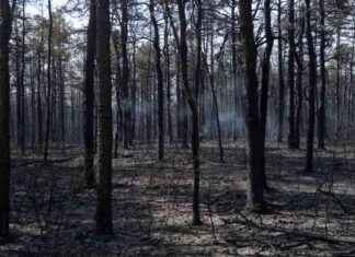 NYC Residents Alerted to Smoke from NJ Wildfire nyc-residents-alerted-to-smoke-from-nj-wildfire