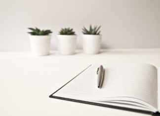 Office Cubicle Dividers vs. Home Partitions: Which One Works Better? Office Cubicle Dividers vs. Home Partitions: Which One Works Better?