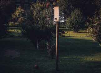 OKC Thunder vs Golden State Warriors Match Player Stats OKC Thunder vs Golden State Warriors Match Player Stats