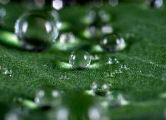 Pearl Initial Necklace: The Trendy Personalized Accessory Everyone Wants Pearl Initial Necklace: The Trendy Personalized Accessory Everyone Wants