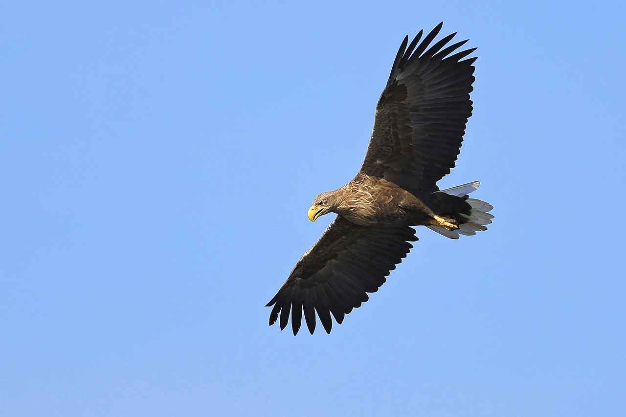 Future Matchup Considerations