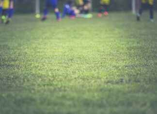 Philadelphia Eagles vs Green Bay Packers Match Player Stats Philadelphia Eagles vs Green Bay Packers Match Player Stats