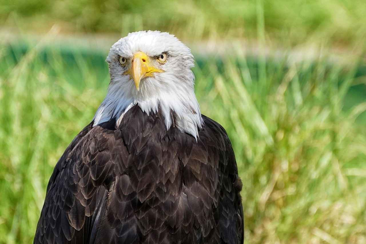 Post-Match Analysis and Fan Reactions