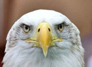 Philadelphia Eagles vs. Washington Commanders: Player Stats and Recap Philadelphia Eagles vs. Washington Commanders: Player Stats and Recap