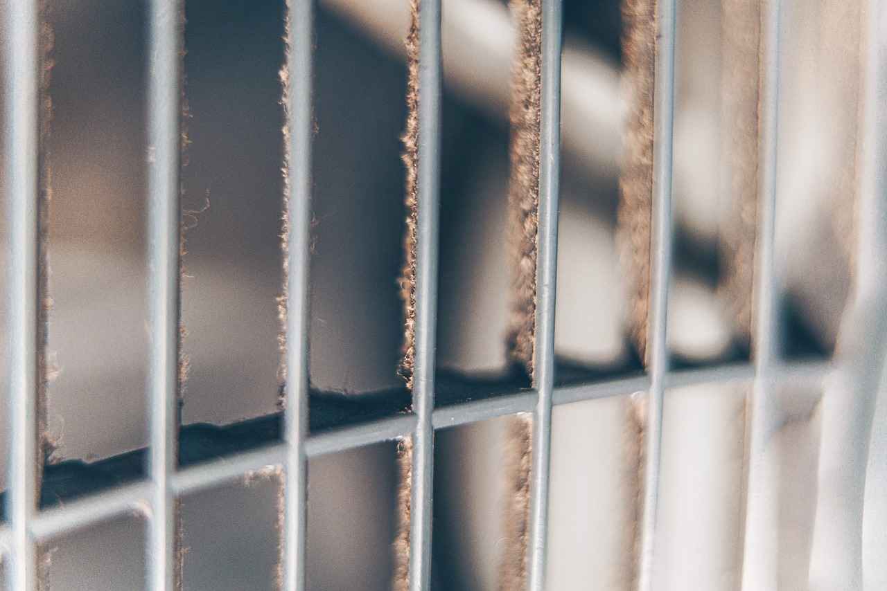 Philadelphia Phillies vs. Washington Nationals: Player Stats and Highlights 9 Fan Engagement and Community Impact