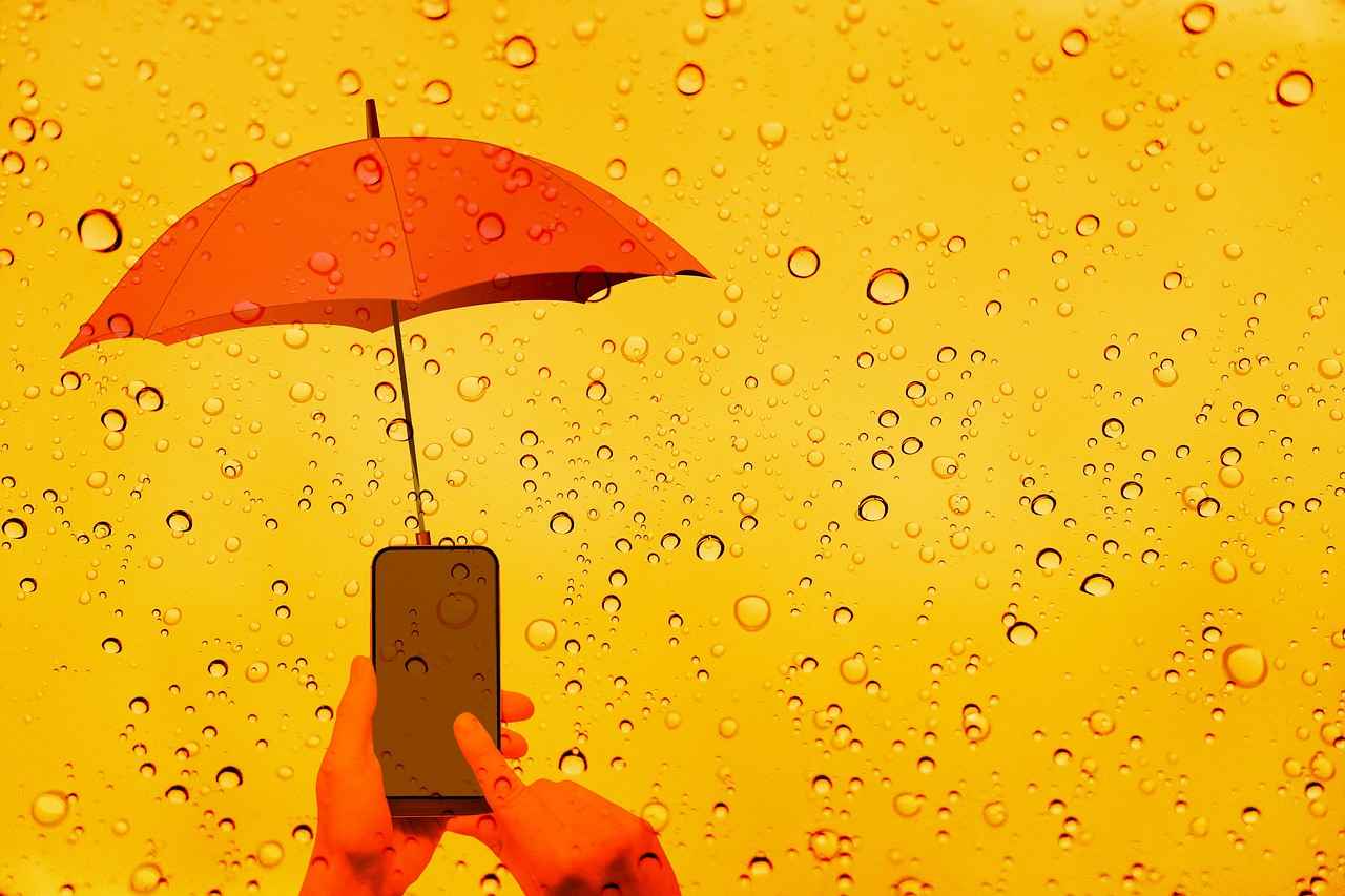 Phone and Card Holder Case: The Ultimate Two-in-One Solution 3 How to Choose the Right Phone and Card Holder Case