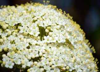 Phone Holders for Trucks: The Top Models to Choose From Phone Holders for Trucks: The Top Models to Choose From