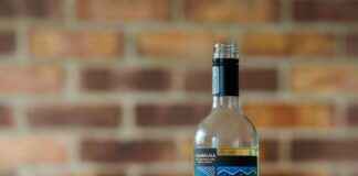 Pinot Grigio Pairings: What to Eat With This Refreshing Wine Pinot Grigio Pairings: What to Eat With This Refreshing Wine