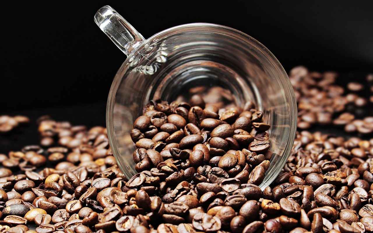 Portable Capsule Coffee Makers: Simplifying Your Coffee Experience 5 Conclusion: Elevate Your Coffee Experience with Portable Capsule Coffee Makers