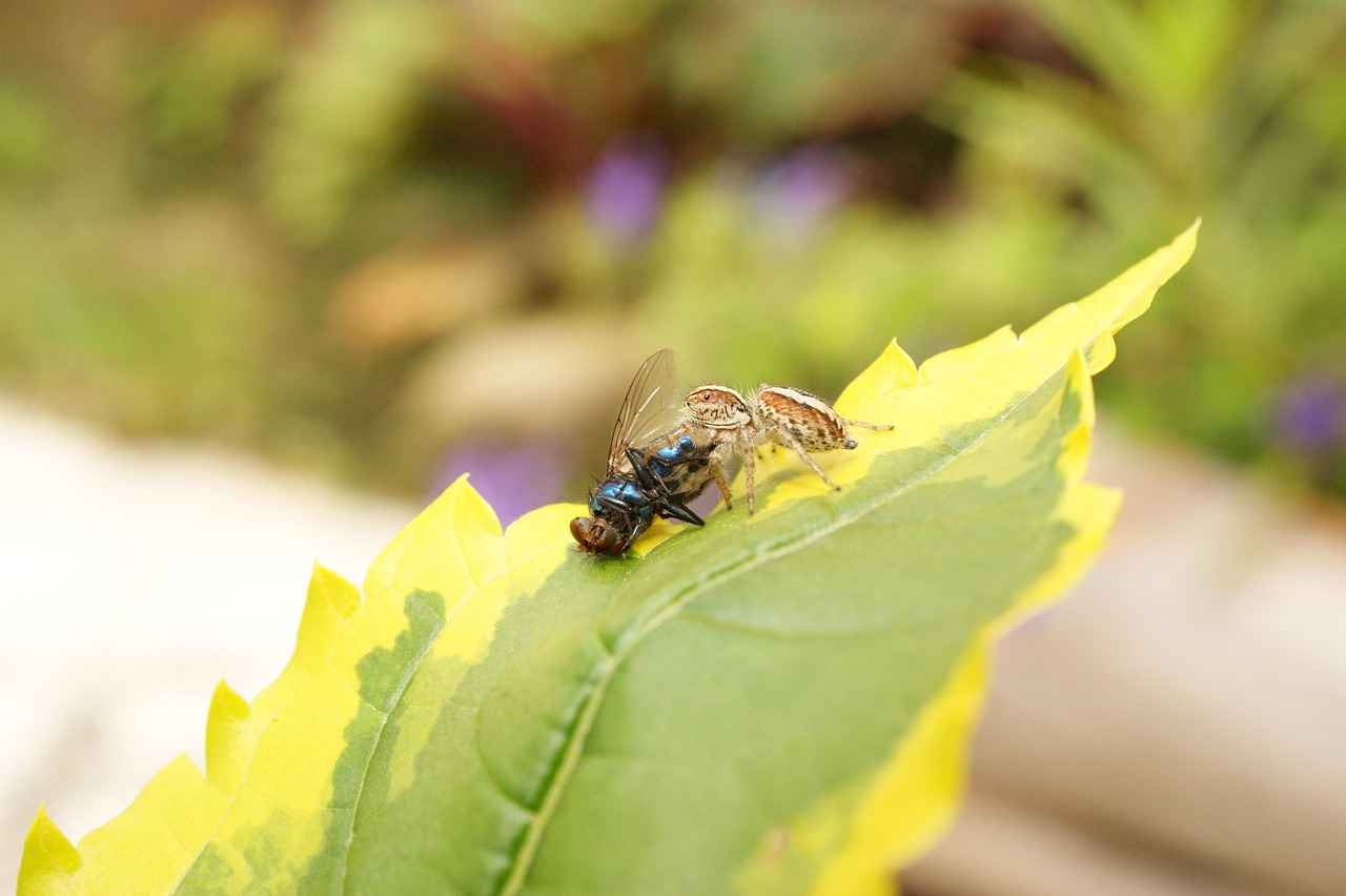 Portable Coffee Maker Reviews – What to Look for Before You Buy 2 Key Features to Consider