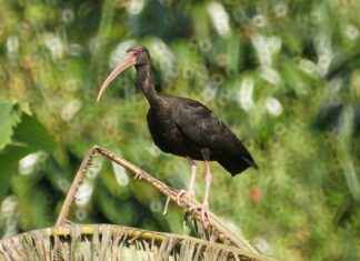 Portable Coffee Makers for Boating: The Best Solutions for Your Next Trip Portable Coffee Makers for Boating: The Best Solutions for Your Next Trip