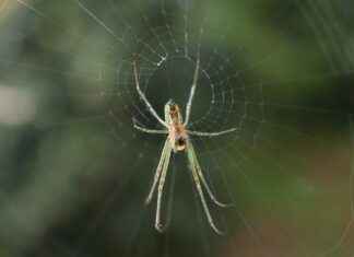 Portable Coffee Makers for Cold Brew: The Ultimate List for 2023 Portable Coffee Makers for Cold Brew: The Ultimate List for 2023