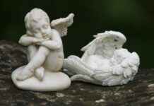 Power Your Workouts with the Benefits of BCAA Supplements Power Your Workouts with the Benefits of BCAA Supplements