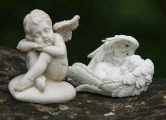 Power Your Workouts with the Benefits of BCAA Supplements Power Your Workouts with the Benefits of BCAA Supplements