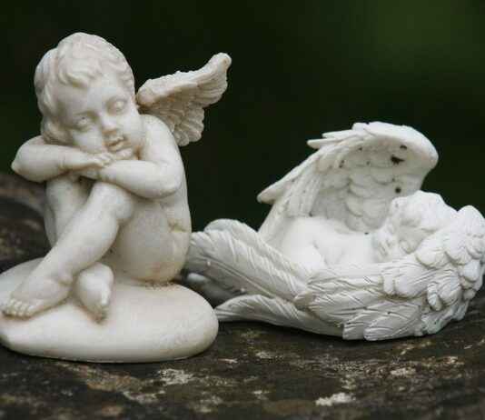 Power Your Workouts with the Benefits of BCAA Supplements Power Your Workouts with the Benefits of BCAA Supplements