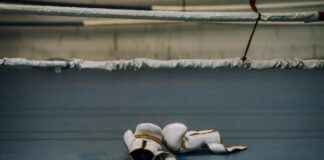 Prince Narula Digital Paypal Story Shocking The Internet Prince Narula Digital Paypal Story Shocking The Internet