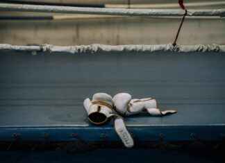 Prince Narula Digital Paypal Story Shocking The Internet Prince Narula Digital Paypal Story Shocking The Internet