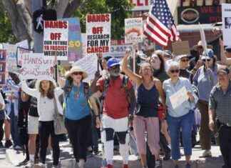 Protests Against Trump and Musk Spark Nationwide Demonstrations protests-against-trump-and-musk-spark-nationwide-demonstrations