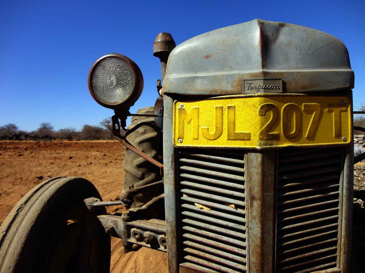 What Do Critics Say About the Film?