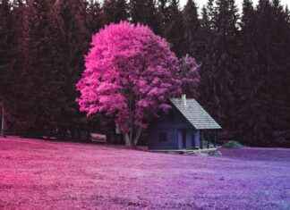 Refinancing a Home Loan: Is It the Right Choice for You in 2025? Refinancing a Home Loan: Is It the Right Choice for You in 2025?