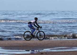 Reviews of the Most Affordable Electric Bikes in 2025 Reviews of the Most Affordable Electric Bikes in 2025