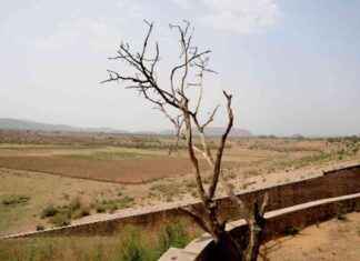 Reviving Historic Ramgarh Lake: Jaipur’s Restoration Project reviving-historic-ramgarh-lake-jaipurs-restoration-project