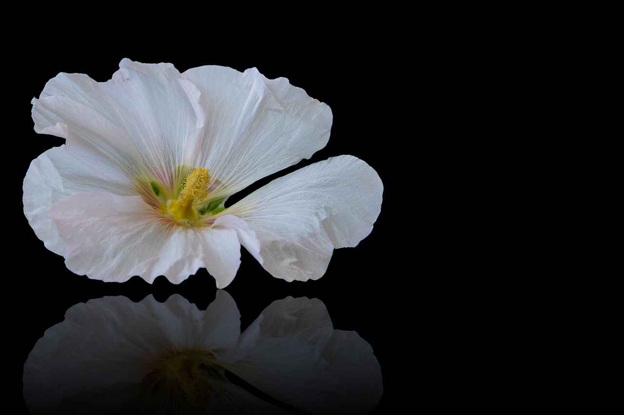 Potential Side Effects and Precautions