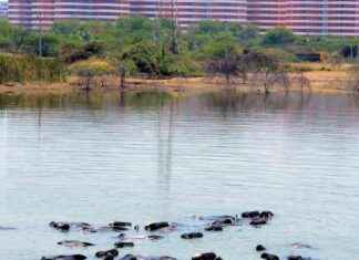 Rising Day Temperatures in Telangana: May Peak Forecast rising-day-temperatures-in-telangana-may-peak-forecast