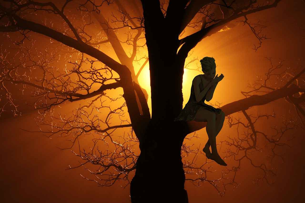 What Equipment Should Every Rogue Consider?